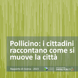 Rapporto indagne Pollicino
